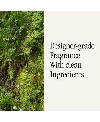 and Tommy Bahama Fragrance Refill - Smart Home Air Diffuser Fragrance - Home Scent Refill - up to 120-Hours of Premium Fragrance per Vial - Clean Diffuser Fragrance - 2 Pack - Evergreen Holiday