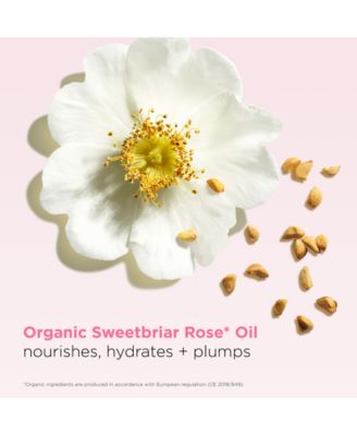 Hydrating Peptide & Plumping Lip Oil Balm