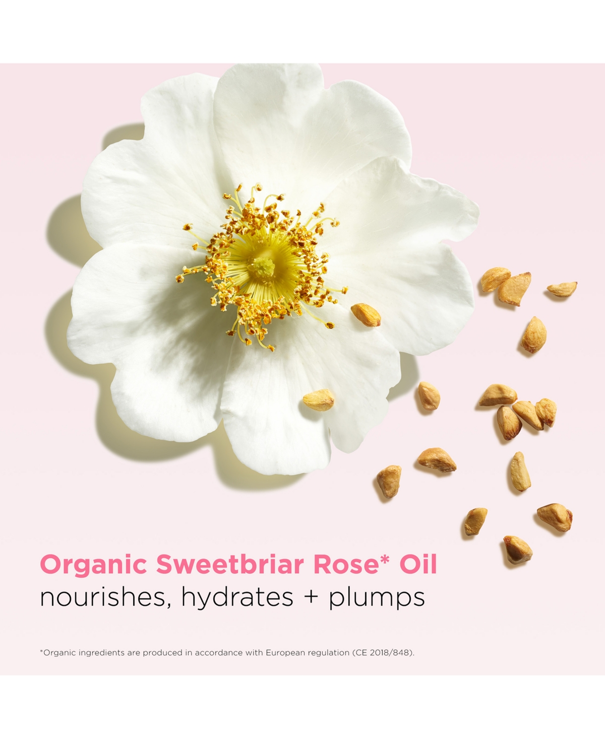 Clarins Hydrating Peptide & Plumping Lip Oil Balm In Pink