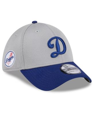 Men's Gray Los Angeles Dodgers 2024 Batting Practice 39THIRTY Flex Hat