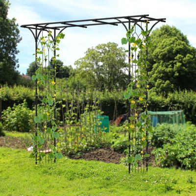Garden Wedding Rose Arch Pergola Archway Flowers Climbing Plants Trellis Metal