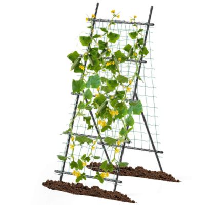 74" Garden Cucumber Trellis for Plant Climbing with PE-Coated Frame, Trellis Net