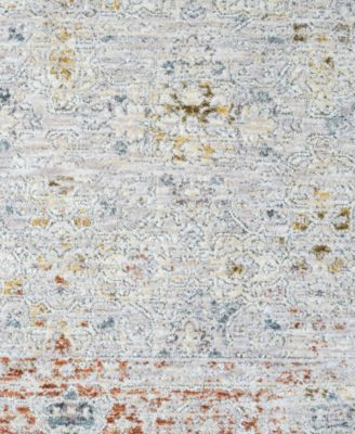 Alexis ALL-474 2'6"x8' Runner Area Rug