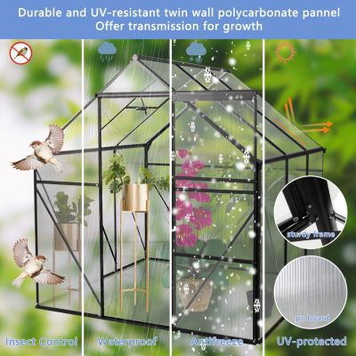 Streamdale 6x6FT Black Polycarbonate Greenhouse with Raised Base and Anchor