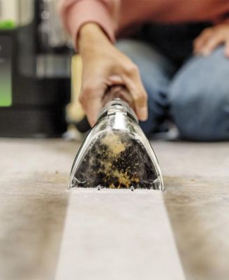 Little Green Max Pet Portable Carpet Cleaner