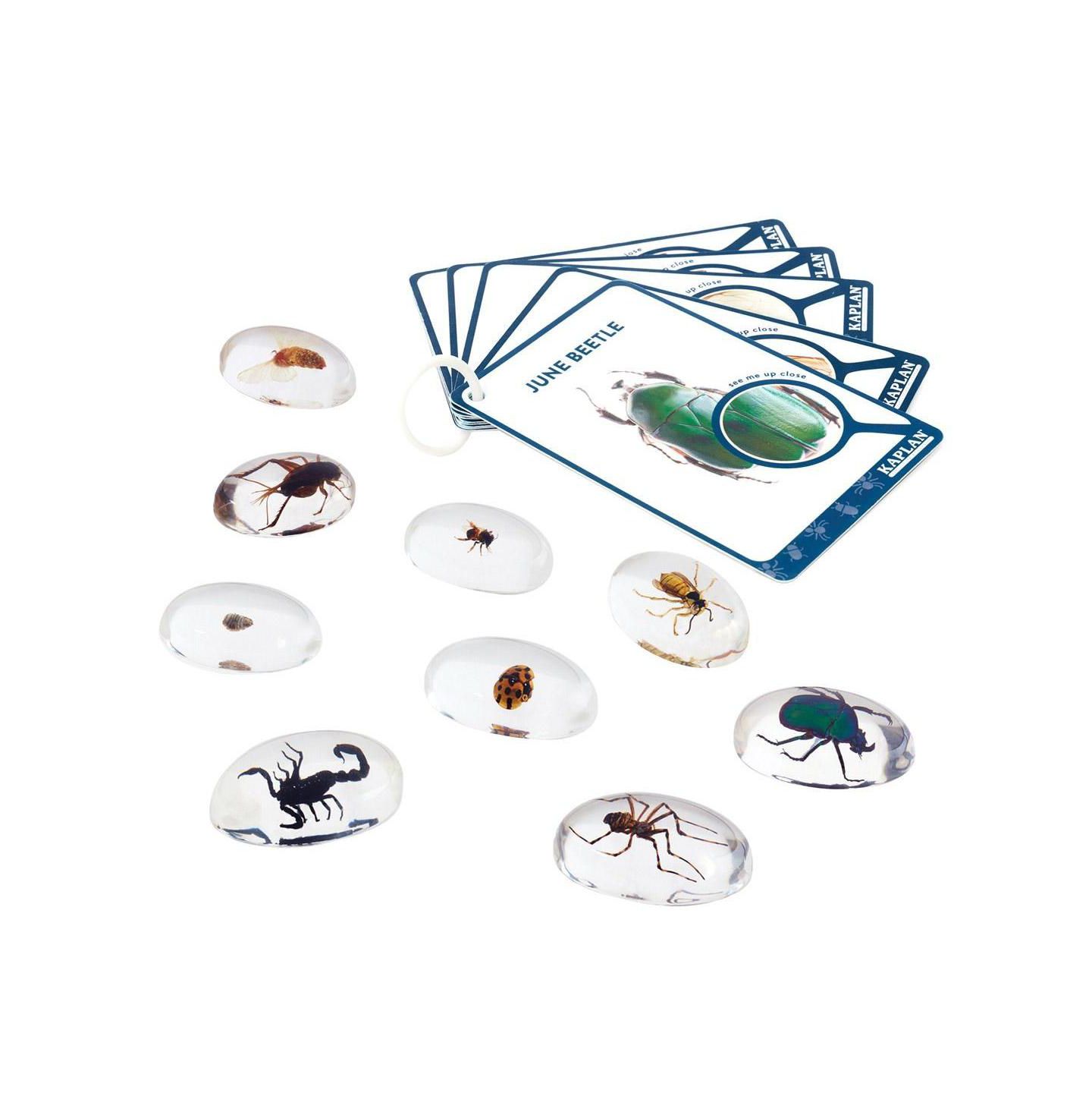 Детские игрушки Kaplan Early Learning Specimen Stones: Bugs, цвет: Разноцветный — фото 5