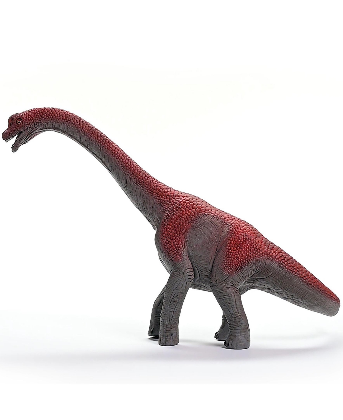 Schleich Dinosaurs Brachiosaurus Action Figure In Multi
