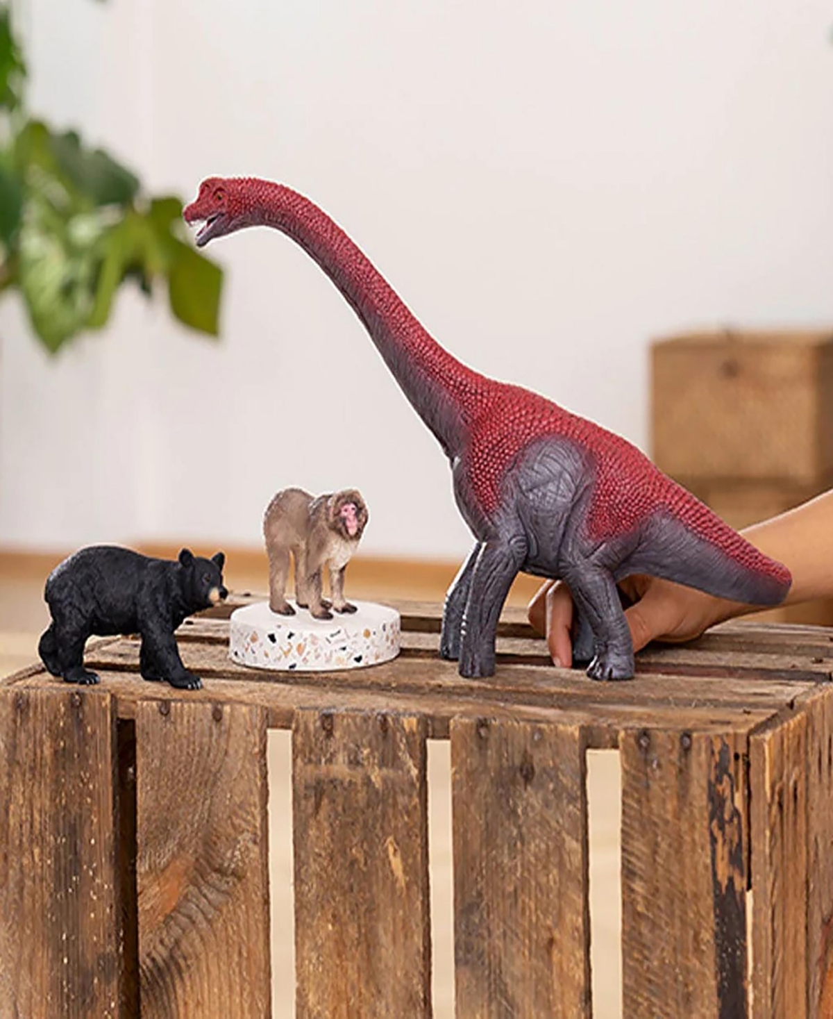 Schleich Dinosaurs Brachiosaurus Action Figure In Multi