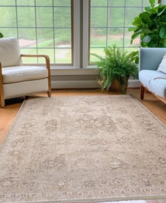 Cyprus CY3 2'3x7'10 Runner Area Rug