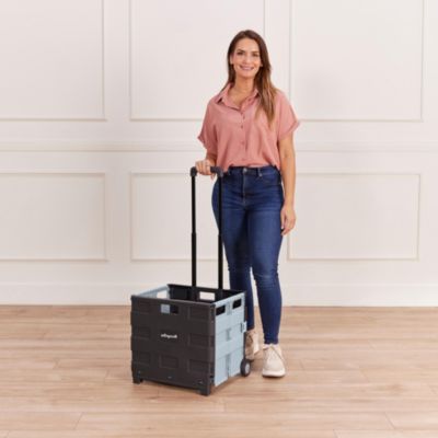 Universal Rolling Cart