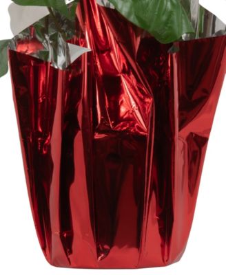 White Artificial Christmas Poinsettia 13.75"