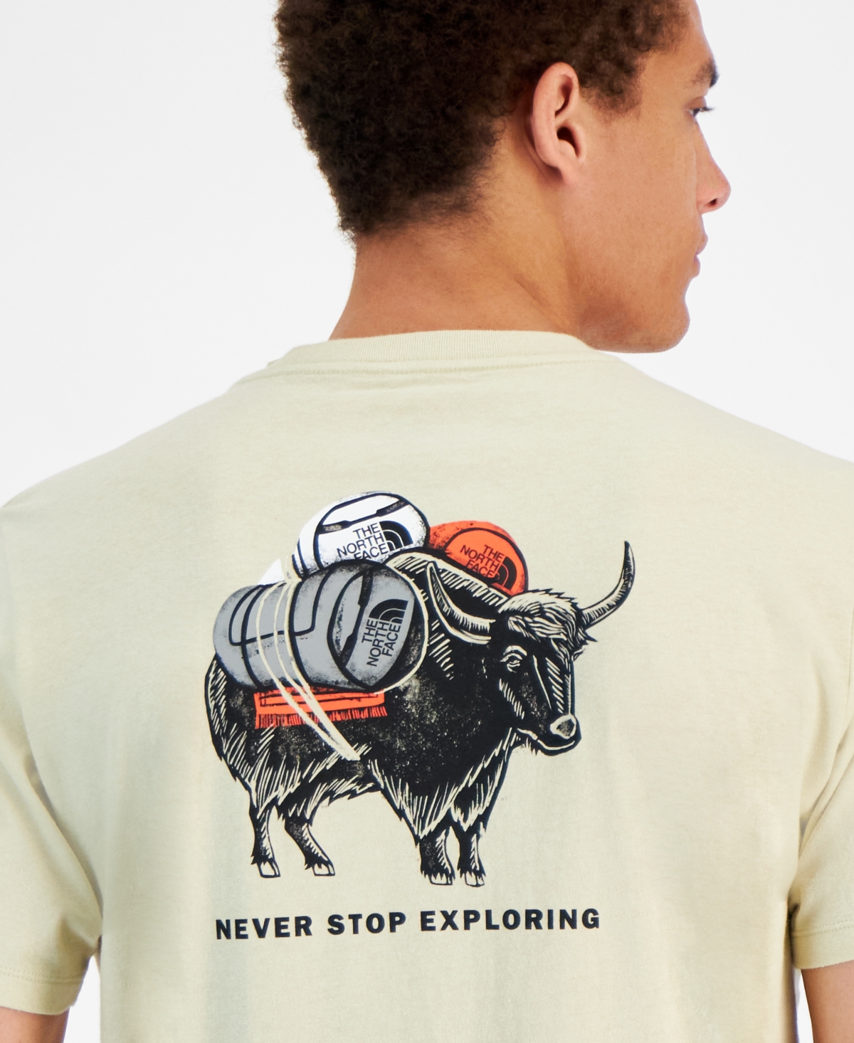 The north face donkey t-shirt best sale