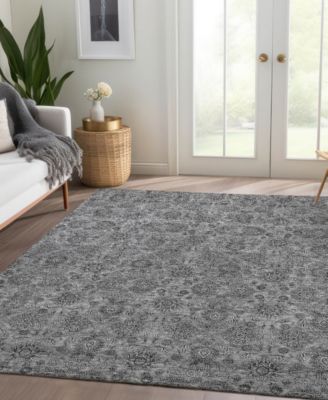 Chantille Machine Washable ACN702 2'6"x3'10" Area Rug