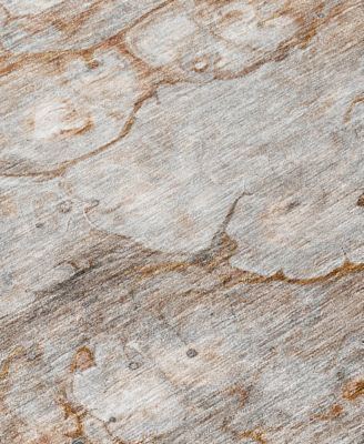 Chantille Machine Washable ACN698 8'x10' Area Rug