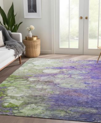 Chantille Machine Washable ACN698 2'6"x3'10" Area Rug