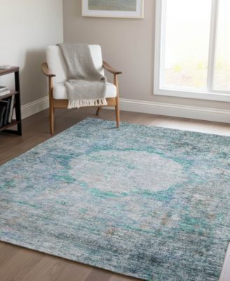 Chantille Machine Washable ACN675 2'6"x3'10" Area Rug