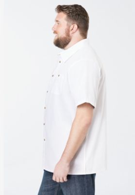 Big & Tall Solid Wrinkle-Resistant Short Sleeve Button Down