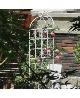 Assembled 4-Pack Plant Trellises for Vine Plants and Climbing Flowers