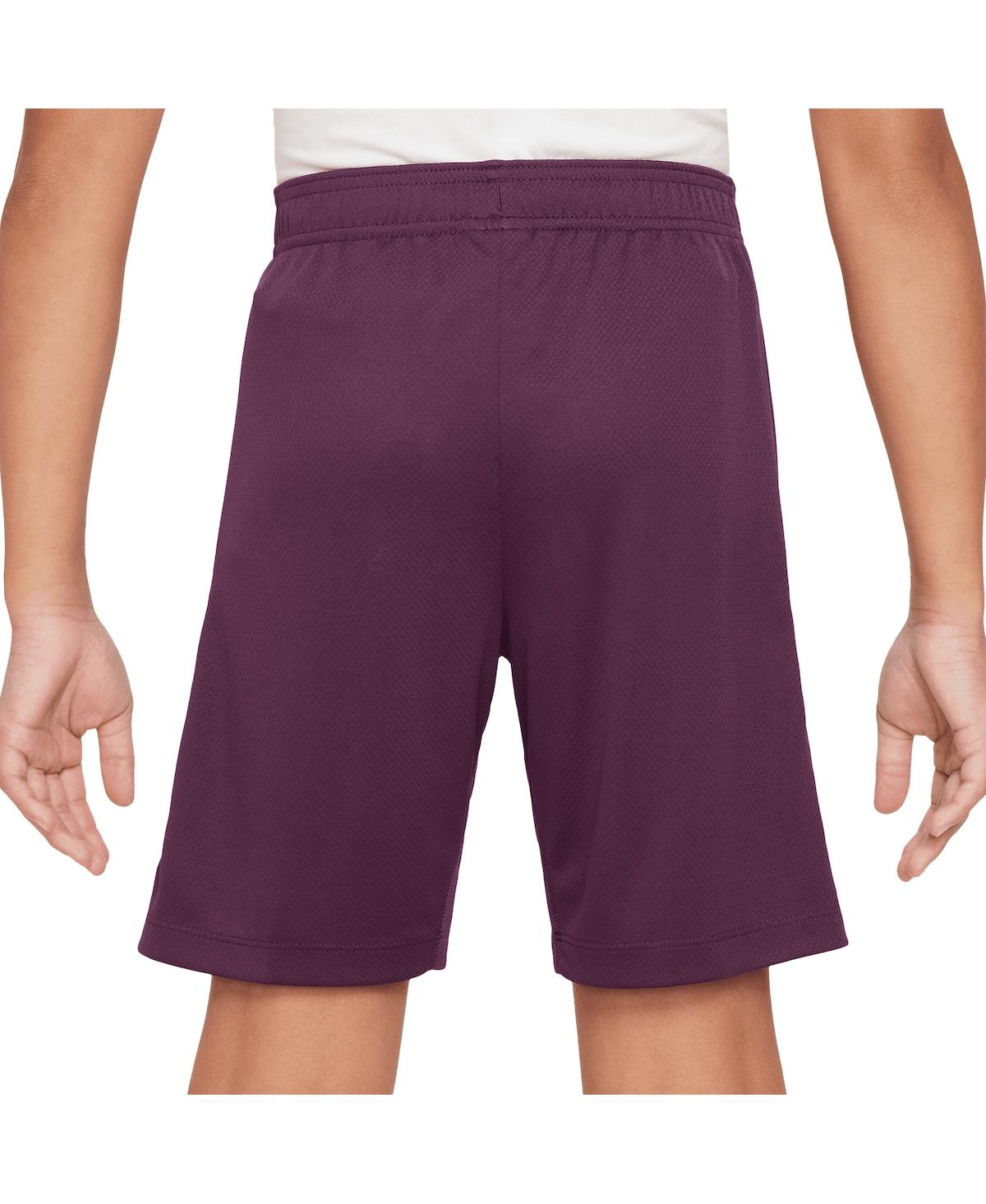 Nike Big Boys and GirlsParis Saint-Germain 2024/25 Strike Performance Shorts - Burgundy