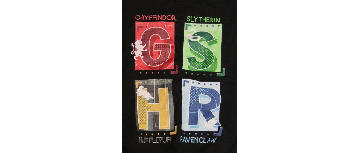 The Wizarding World of Harry Potter Boys Youth Harry Potter Hogwarts House Letters Graphic w/ Logo Screen PrintHoodie - Black