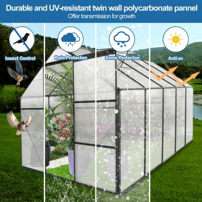 Durable 6x10 Ft Polycarbonate Greenhouse