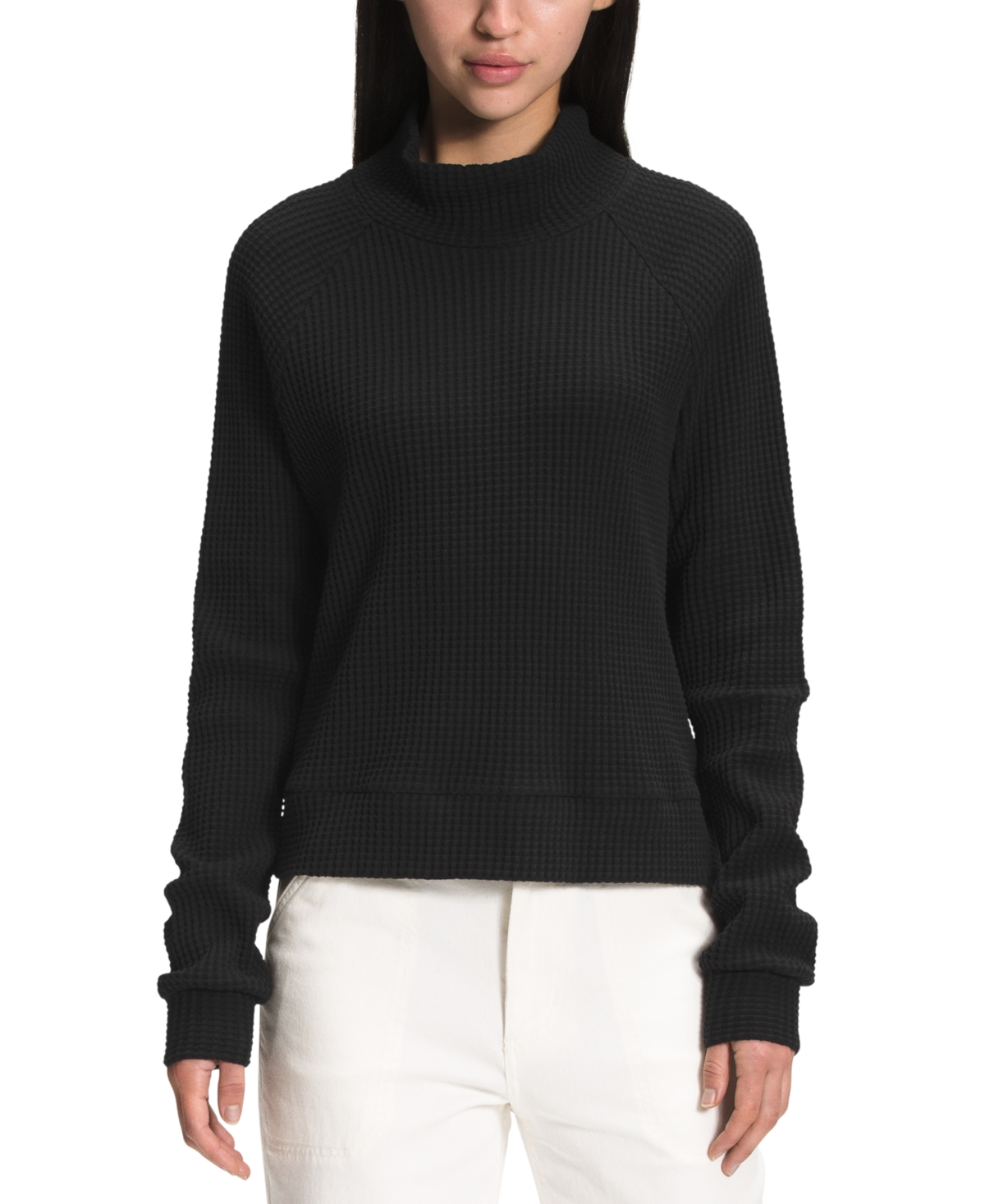 The North Face Long Sleeve Mock Neck Chabot In Black In Black