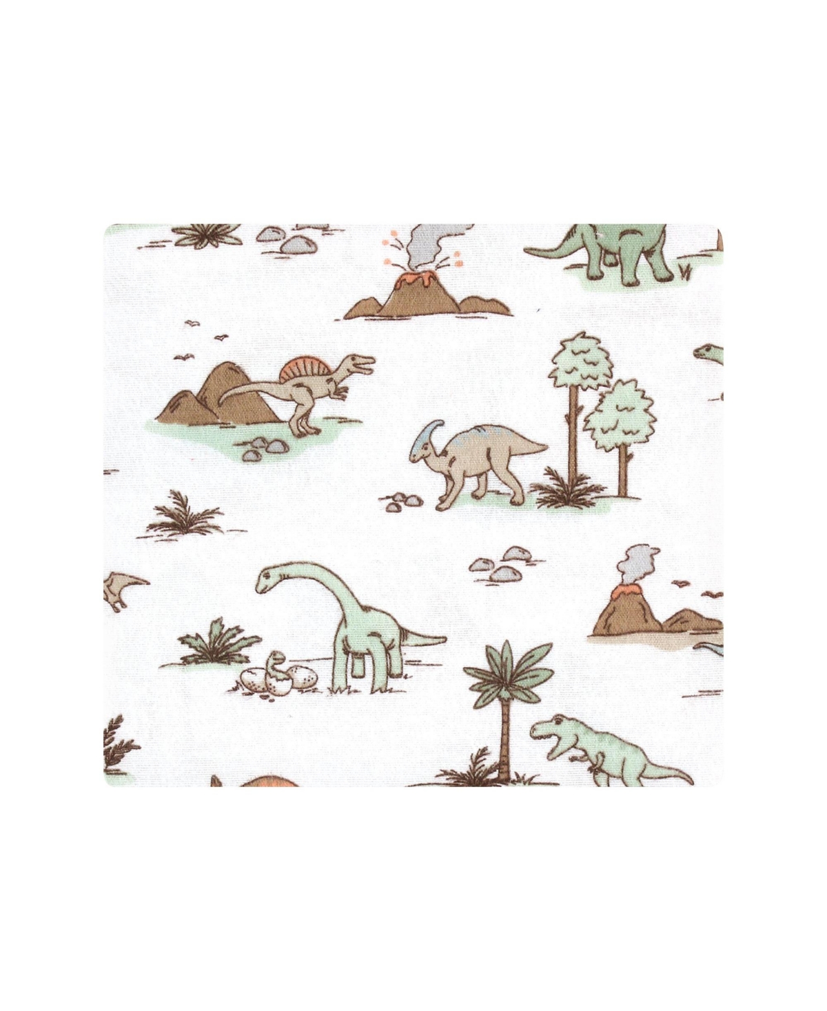 Hudson Baby Cotton Poly Flannel Receiving Blankets Bundle, Fun Desert, One