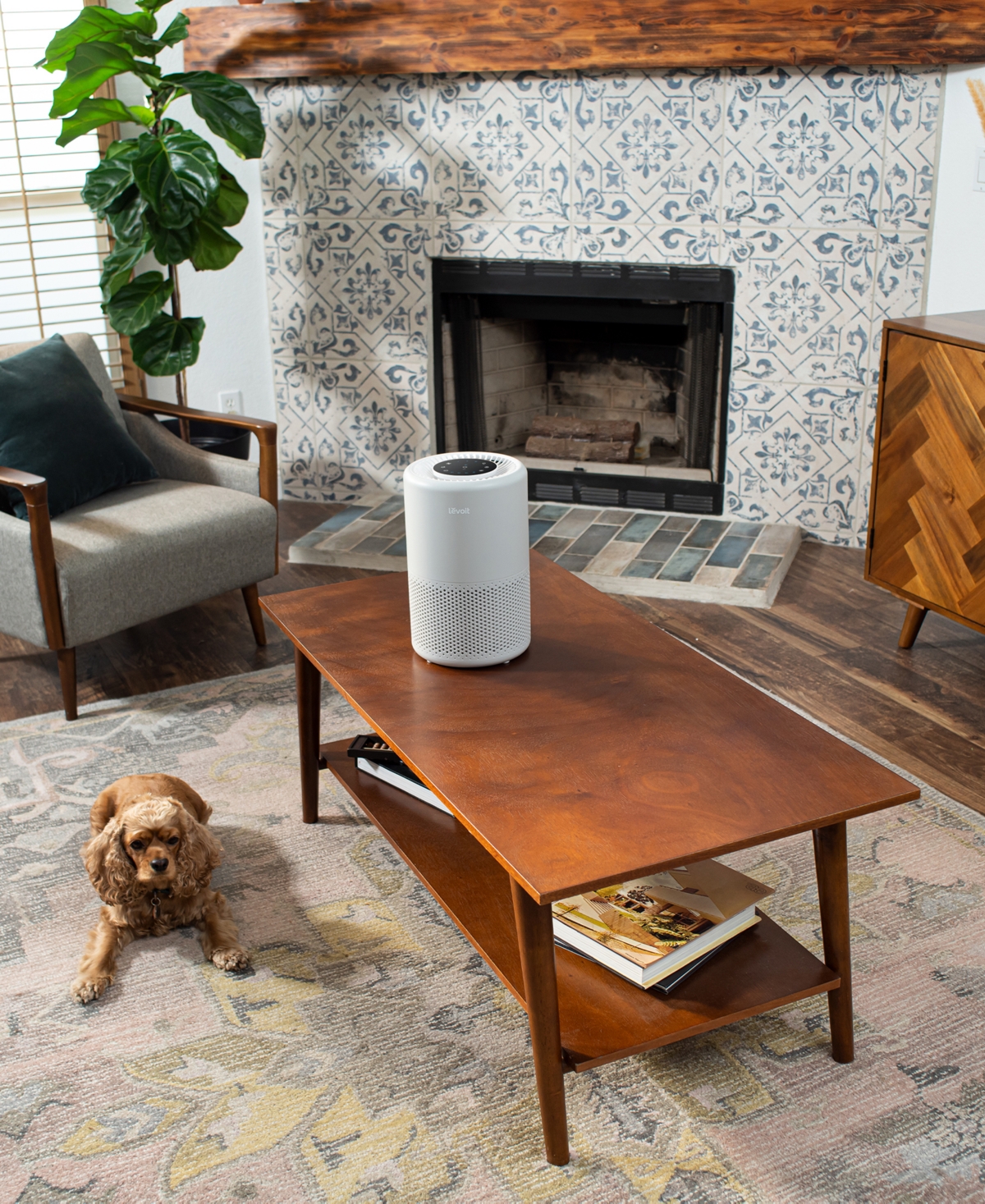 Levoit Air Purifier Lap-c201s-ausr In Grey