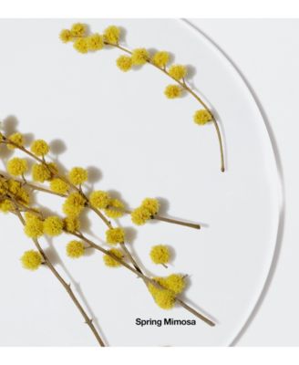 Happy Body Spritz Fragrance Spray, 4.2 oz.