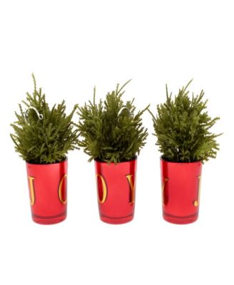 "JOY" Mini Trees, Set of 3, 8 Inches