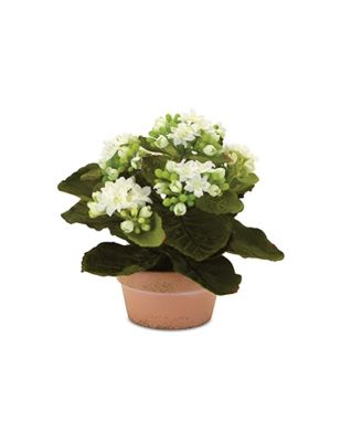 Set of 4 Kalanchoe Plants with Pots-7 Inches High, Lifelike Artificial Flowers in Stylish Containers for Home Decor