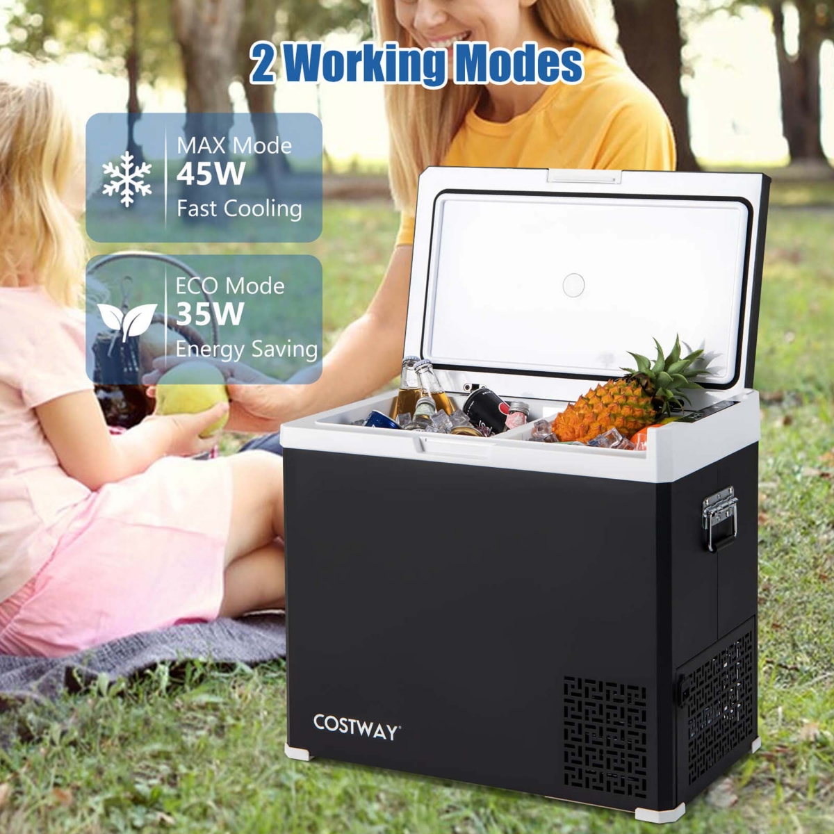Costway 12 Volt Car Refrigerator 53QT Portable Car Fridge with -4 68 for RVs Adjustable Range- Black