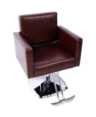 Streamdale Salon Chair with Hydraulic Pump, 360 Swivel, 330 lbs Capacity