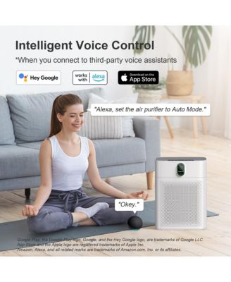 1076 ft² Smart Air Purifier: Wi-Fi/Alexa control, PM2.5 display, HEPA filter. Removes dust, pollen, smoke. Ultra-quiet 24dB