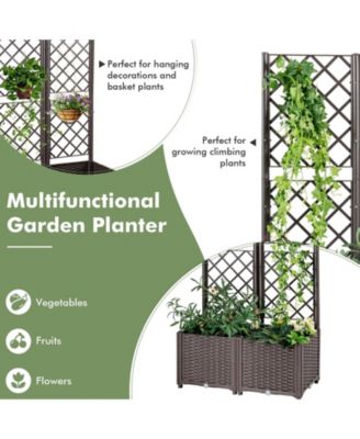 PE Rattan Raised Garden Bed with Trellis Planter Box for Climbing Plants