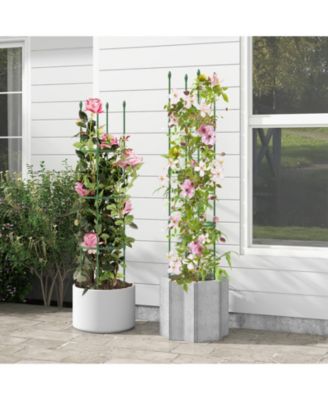 2-Pack Garden Trellis Tomato Cage with Adjustable Height