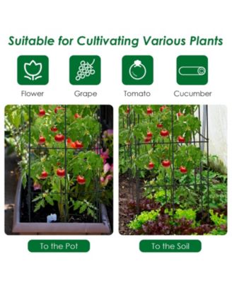 Garden Collection Trellis Set, 4-Pack