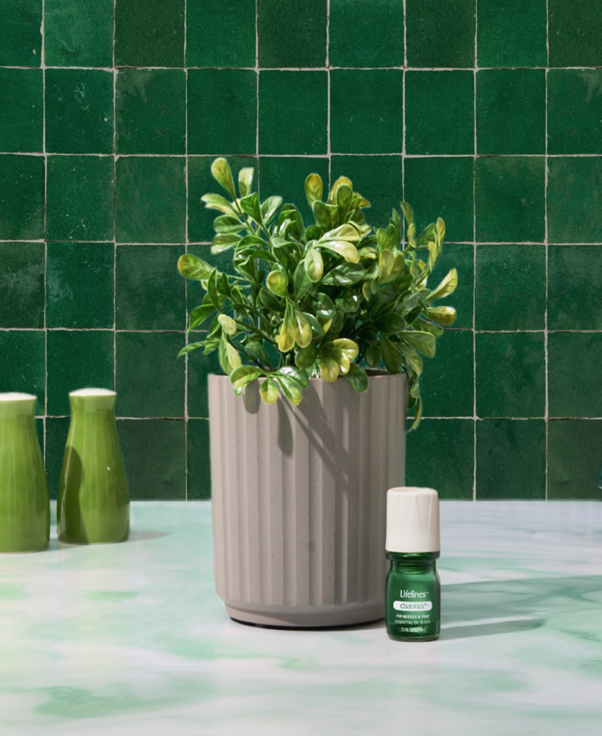 Lifelines Boxwood Plant Diffuser In Ribbed Gray