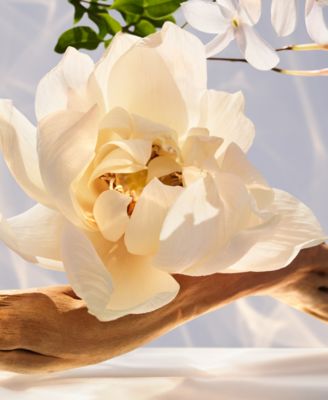 Omnia Crystalline Eau de Parfum, 3.4 oz.