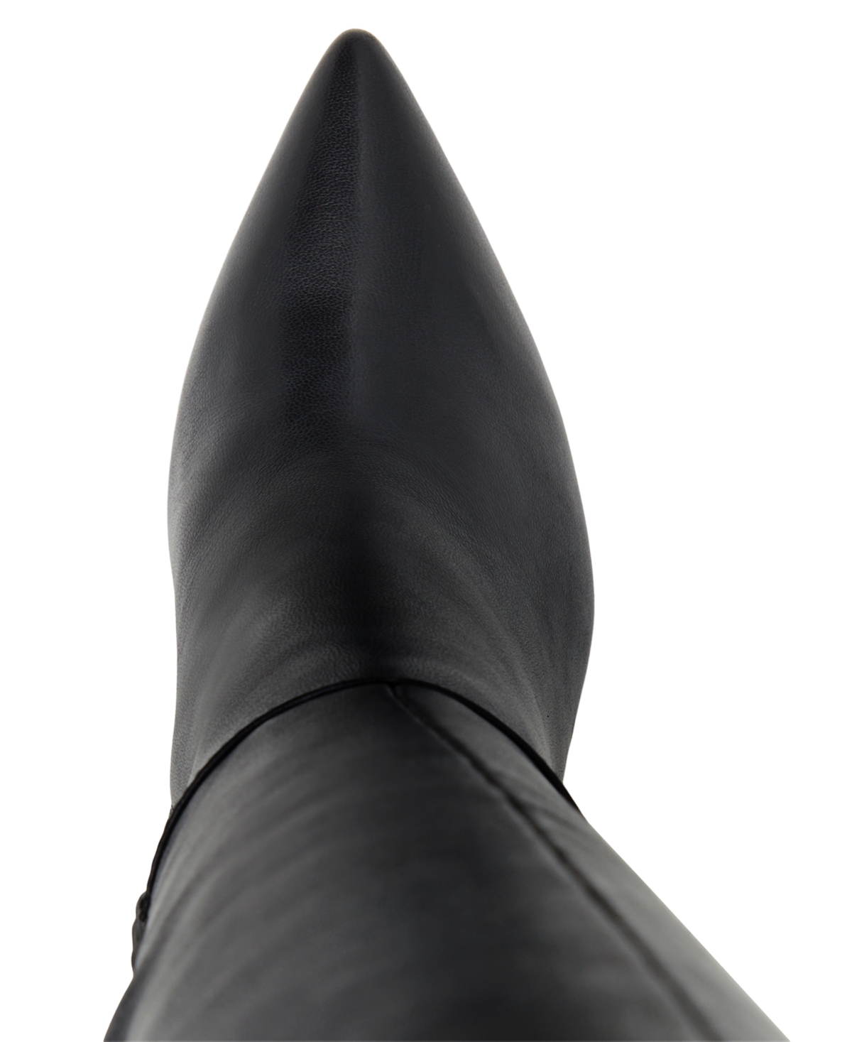 Aldo Women's Romee Pointed-Toe Knee High Boots