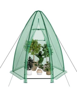 5.5 x 5.5 x 6 Feet Portable Mini Greenhouse with All-Weather PE Cover