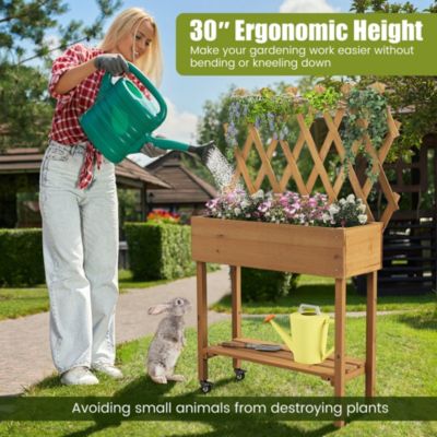 Wood Raised Garden Bed with Trellis Storage Shelf Wheels Liner Drainage Holes