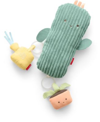 Garden Oasis Activity Gym