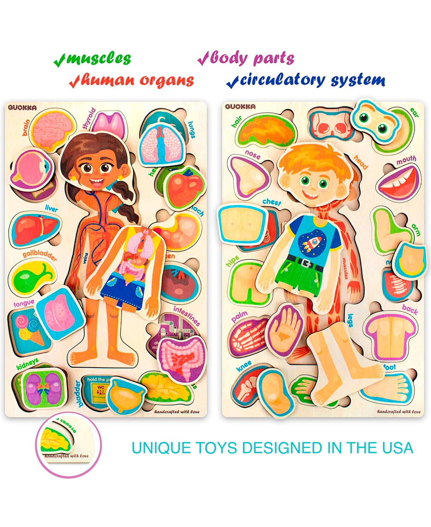 Детские игрушки Quokka Wooden Montessori Human Anatomy 2-Puzzle Set, Ages 4-6 — фото 4