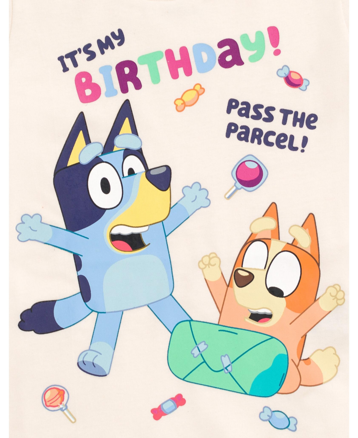 Bluey Little Girls T-Shirt -/ birthday