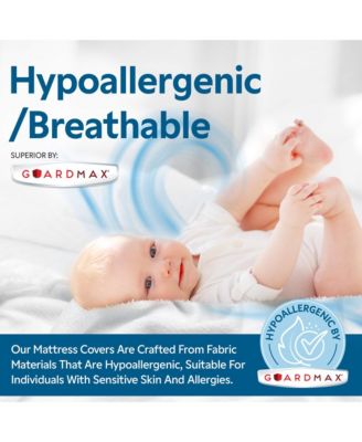 Terry Cotton Waterproof Fitted Sheet