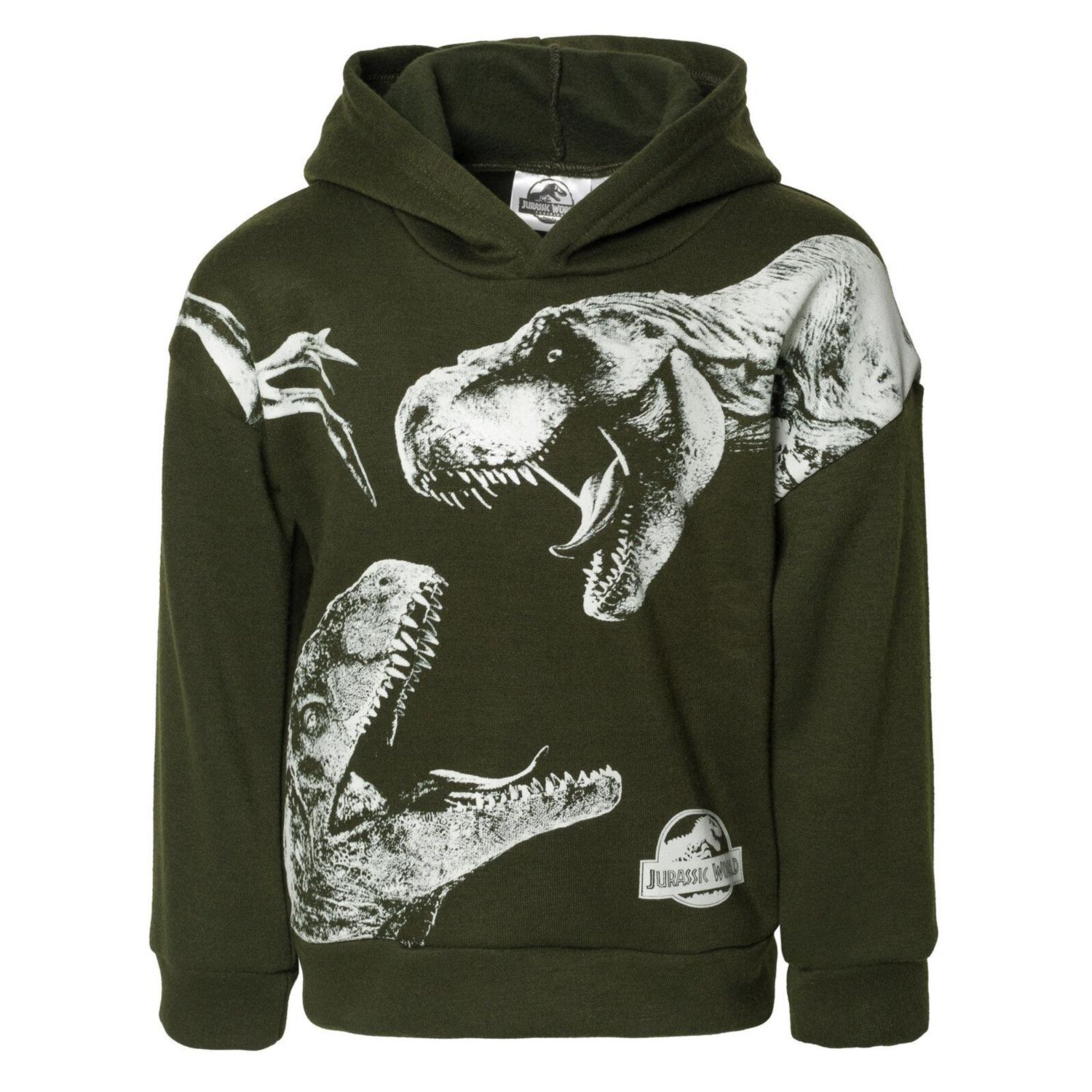 Boys' Fleece Hoodie