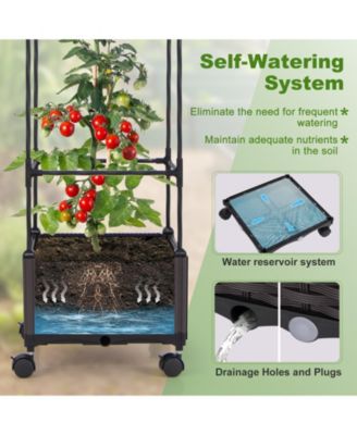 67 Inches Raised Garden Bed with Planter Box and Trellis