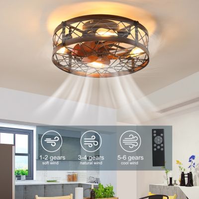Caged Ceiling Fans with Lights, 20" Flush Mount