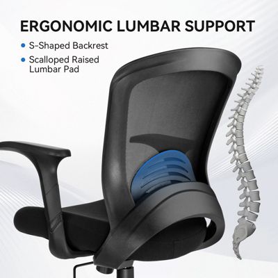 Ergonomic Office Chair Mesh Swivel Task Chair with Lumbar & Back Support